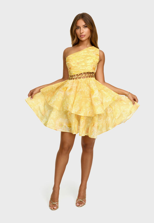 Sylvabelle Dress